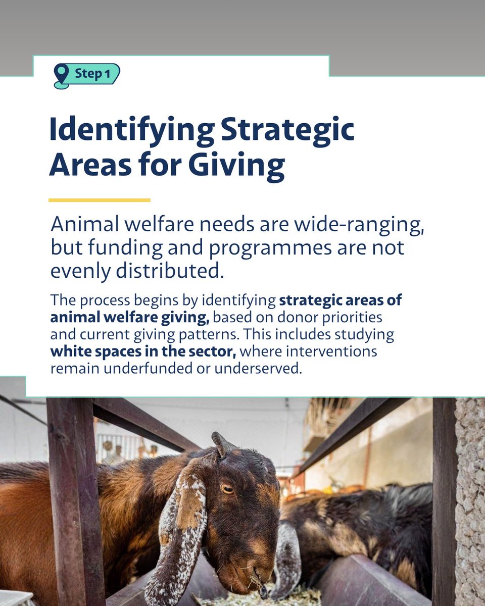 India Animal Fund tweet media