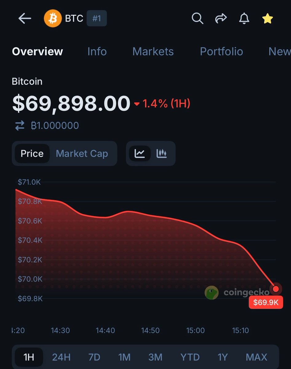 ALEXANDER tweet media