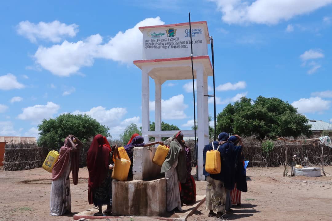 New Ways Organization tweet media