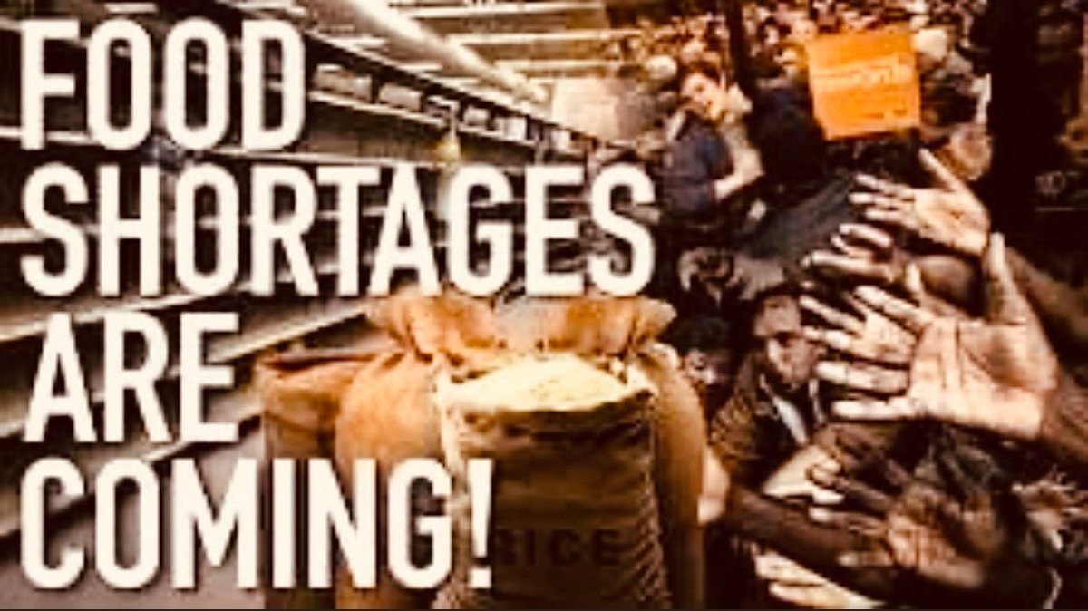 FEAR OF GOD IS WISDOM tweet media