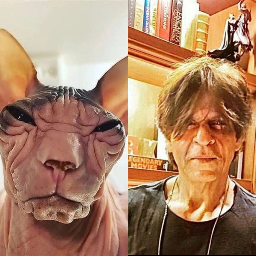 AstroCounselKK 🇮🇳 tweet media