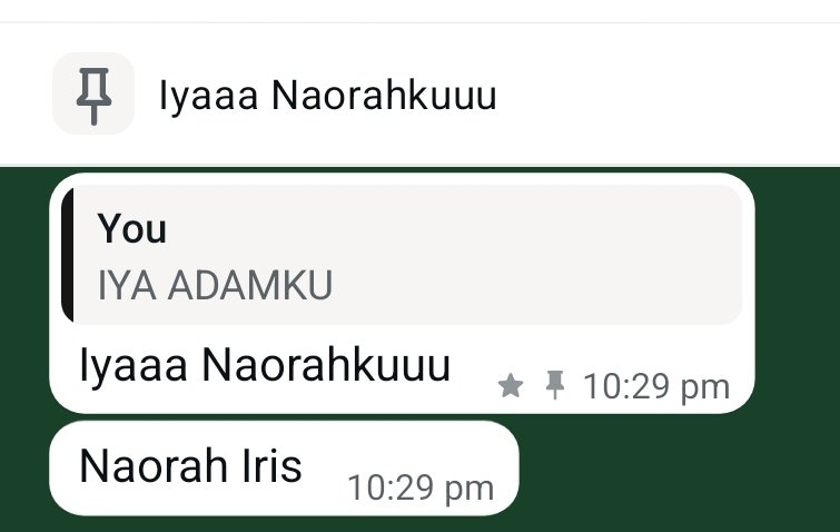 iris tweet media