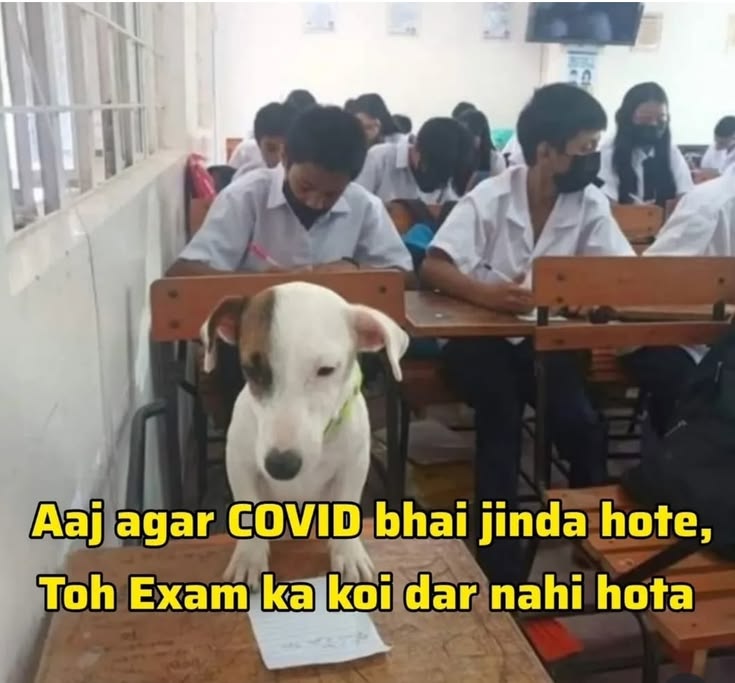 himanshi ♡ tweet media