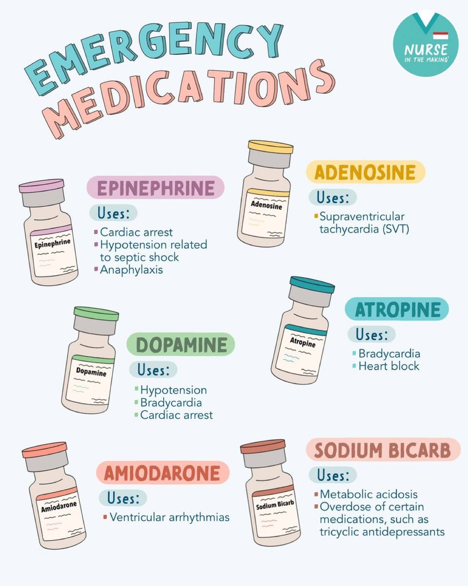 Dr Honey choudhary 🩺 tweet media