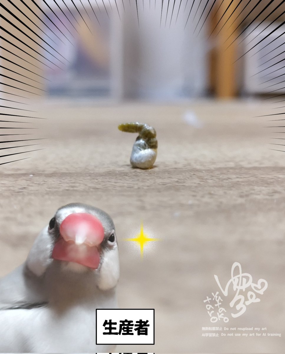 ゆたこ tweet media