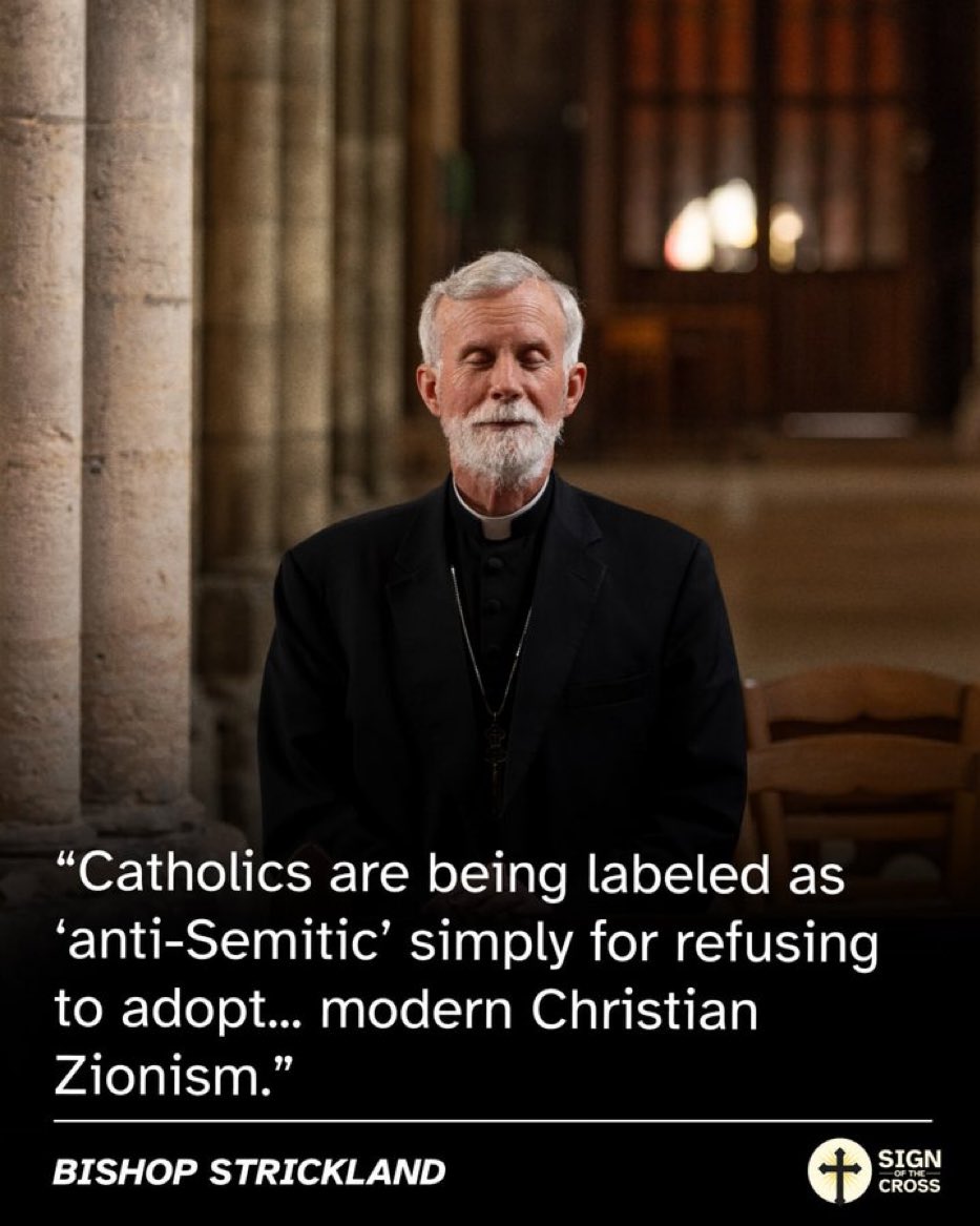 Terézia Mičianiková tweet media