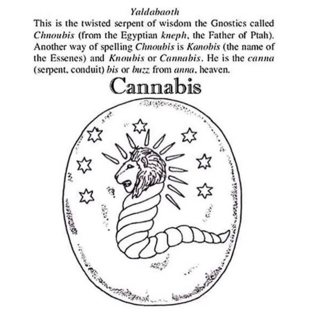 🧬Maxpein🧬 tweet media