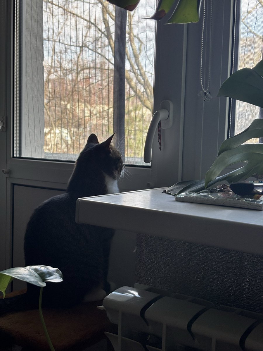 Історична розхлябаність🫠 tweet media