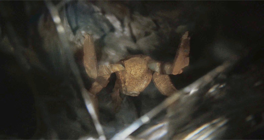 mel - track 9 💋🐾 tweet media