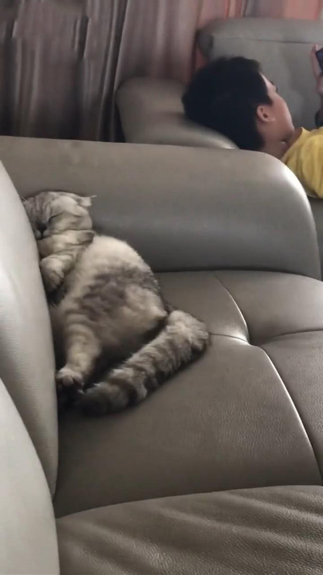 Ethan Scherbert tweet media