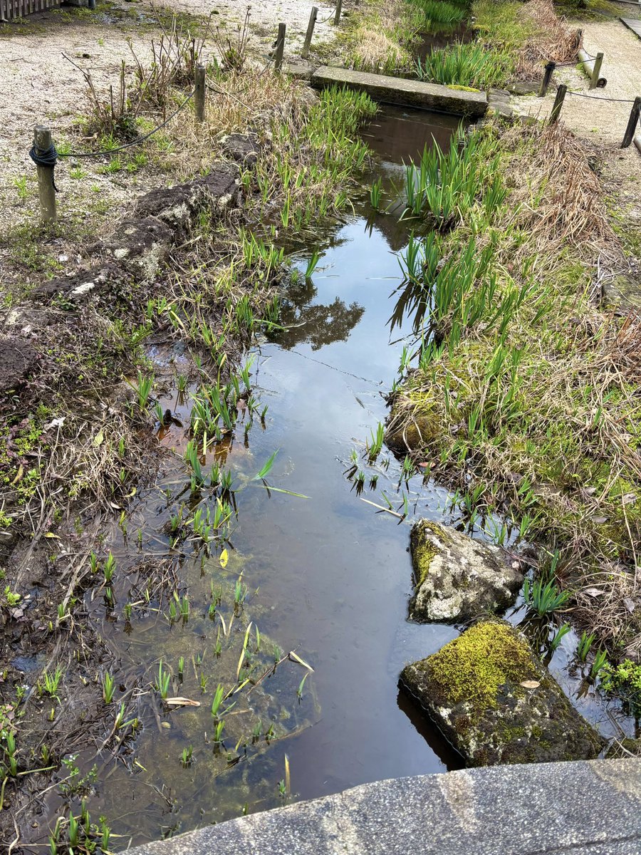 HitoKa （naru〜🌟） tweet media