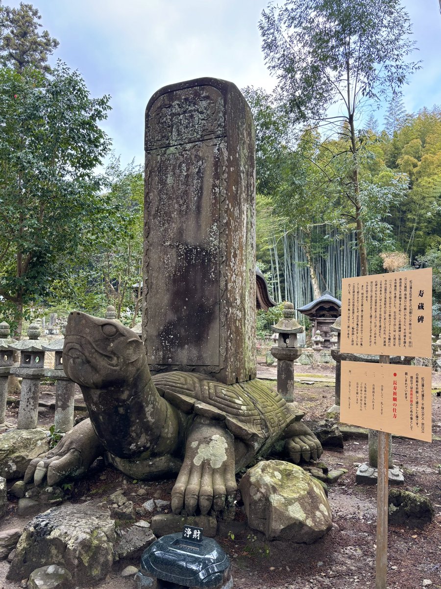 HitoKa （naru〜🌟） tweet media