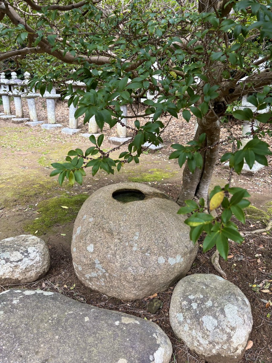 HitoKa （naru〜🌟） tweet media