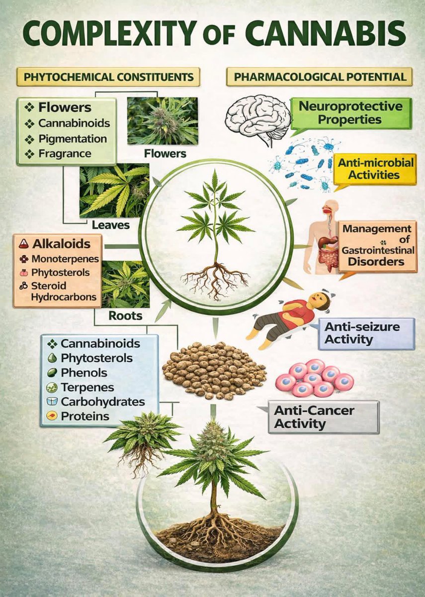 weedcoin tweet media