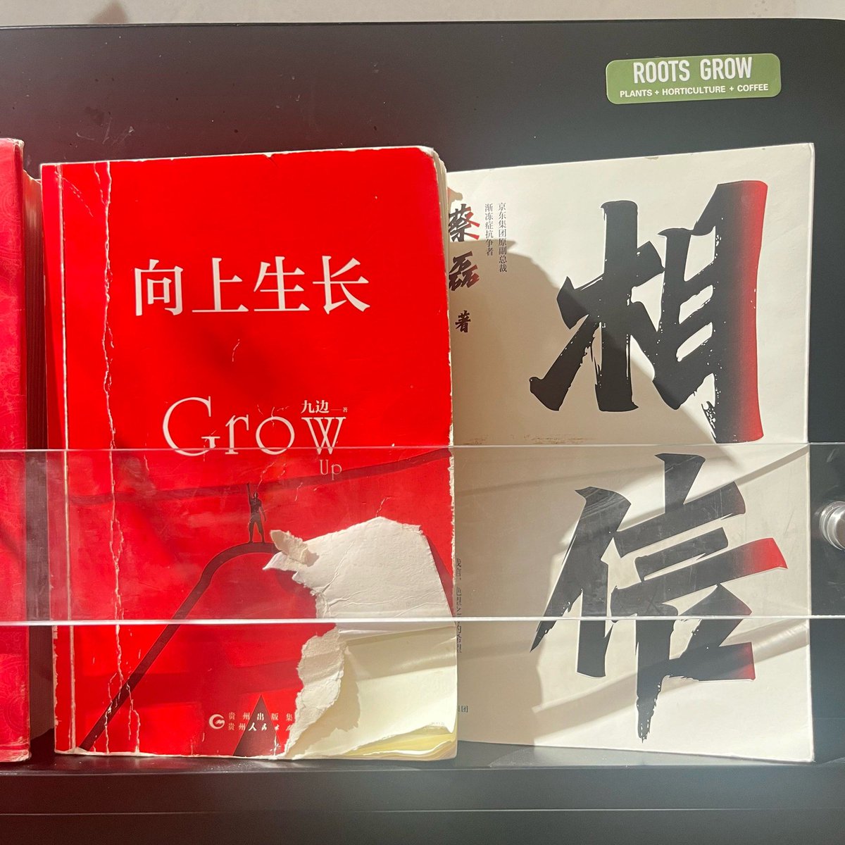 amanda divel tweet media