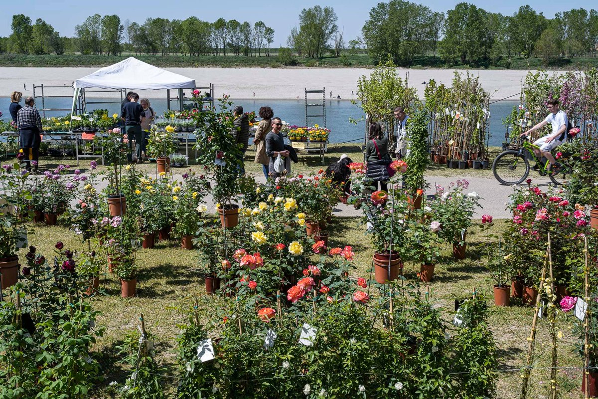 inEmiliaRomagna tweet media