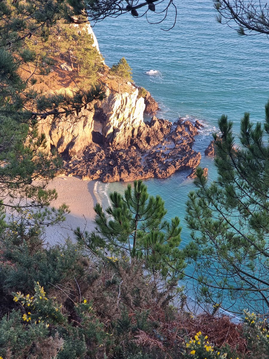 ⚓ CéLine Made In Bzh tweet media