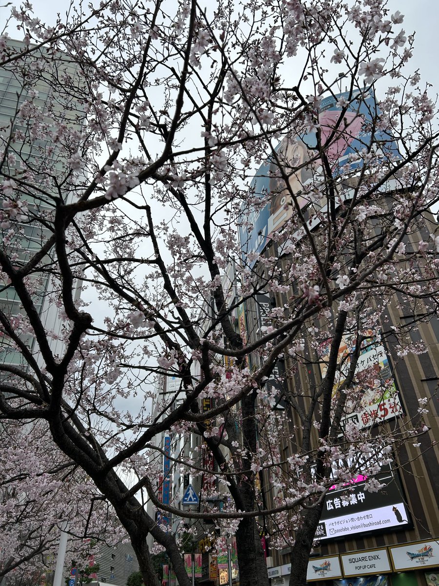 紺野光広 tweet media