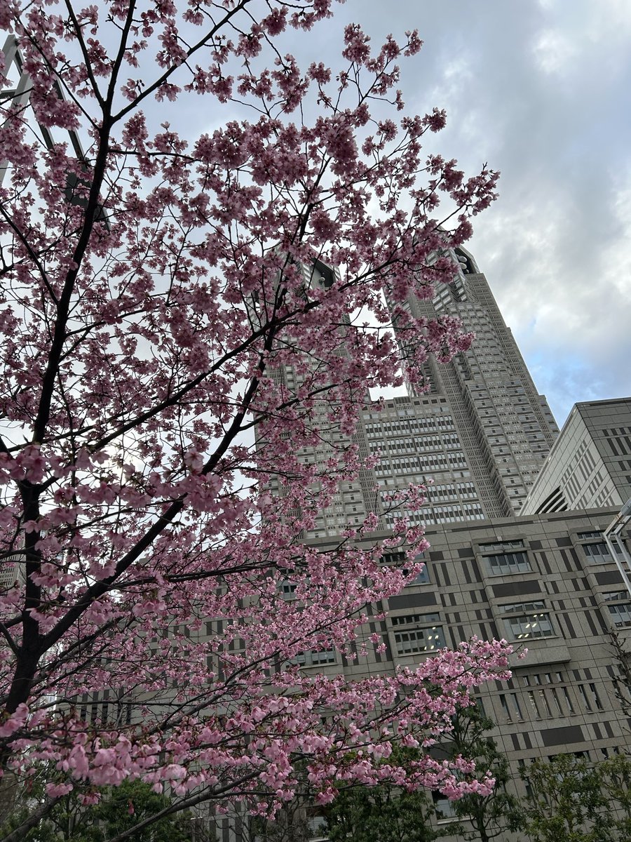 紺野光広 tweet media