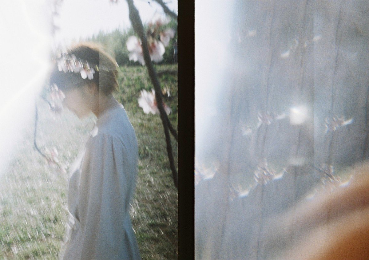 haru wagnus tweet media