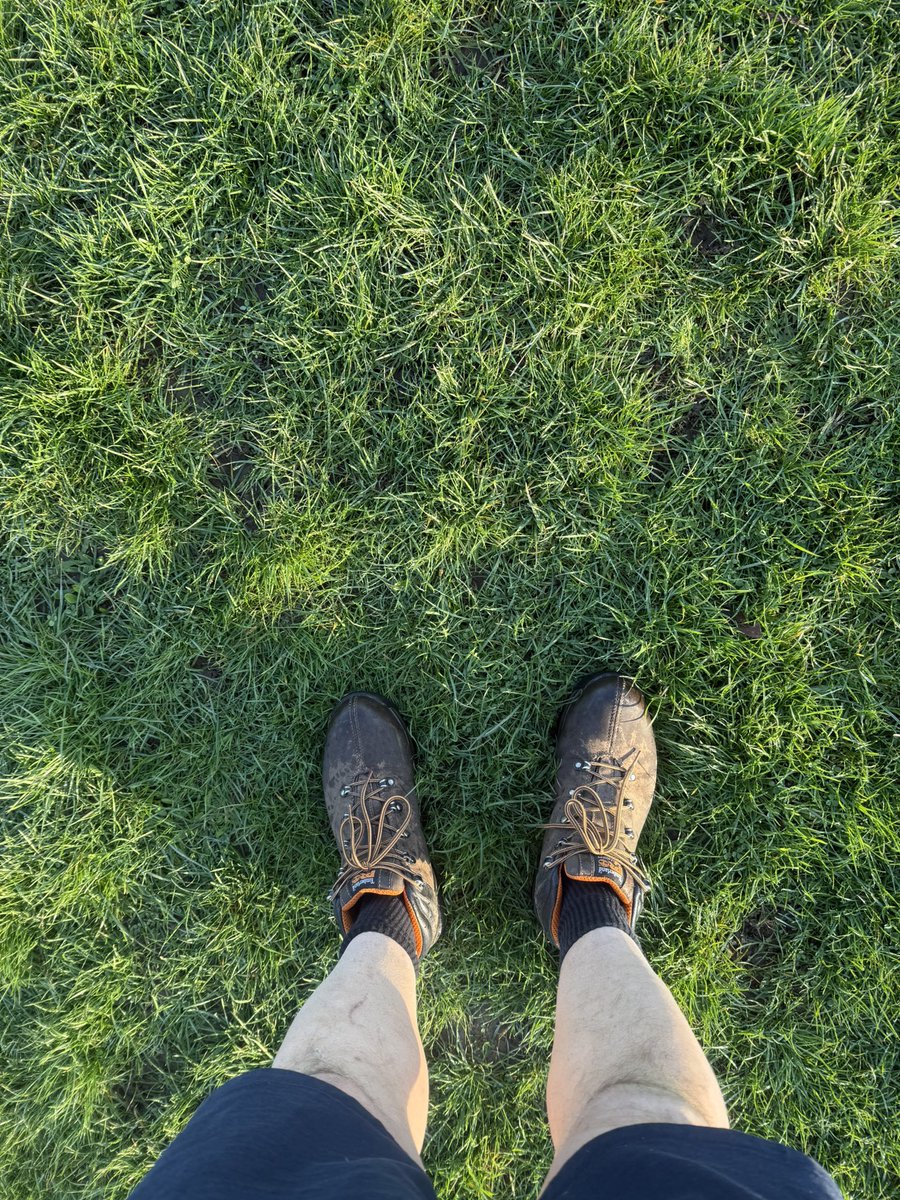 the bath landscape gardener tweet media