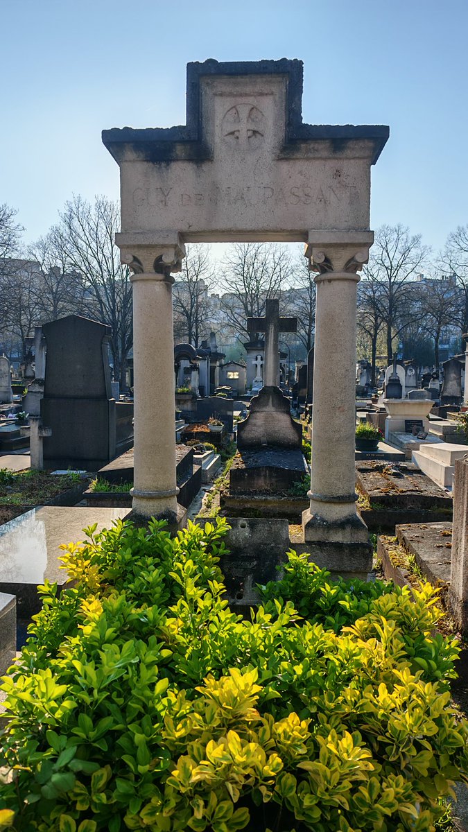 Alexis Karklins-Marchay tweet media