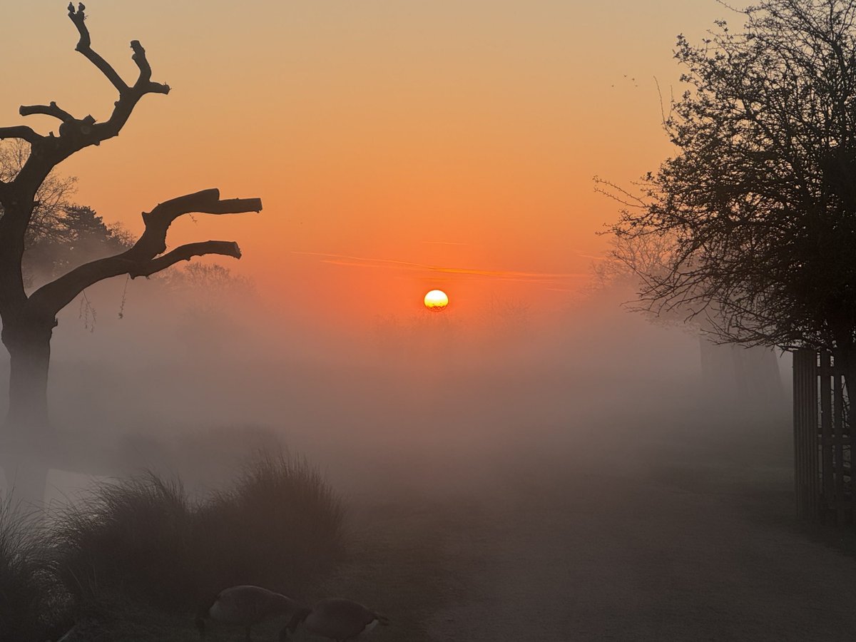 Teddington_Town tweet media