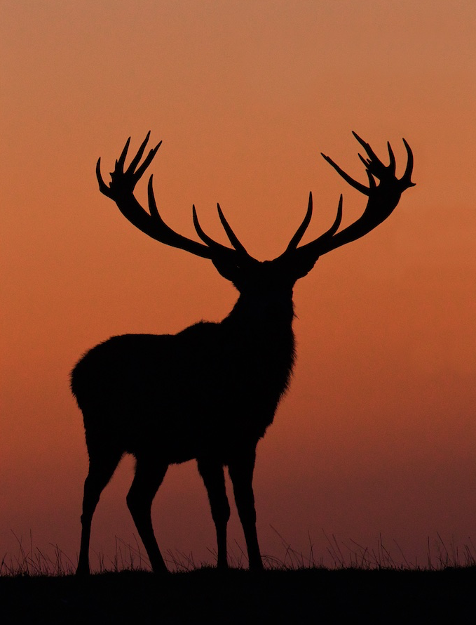 Richard Bowler tweet media