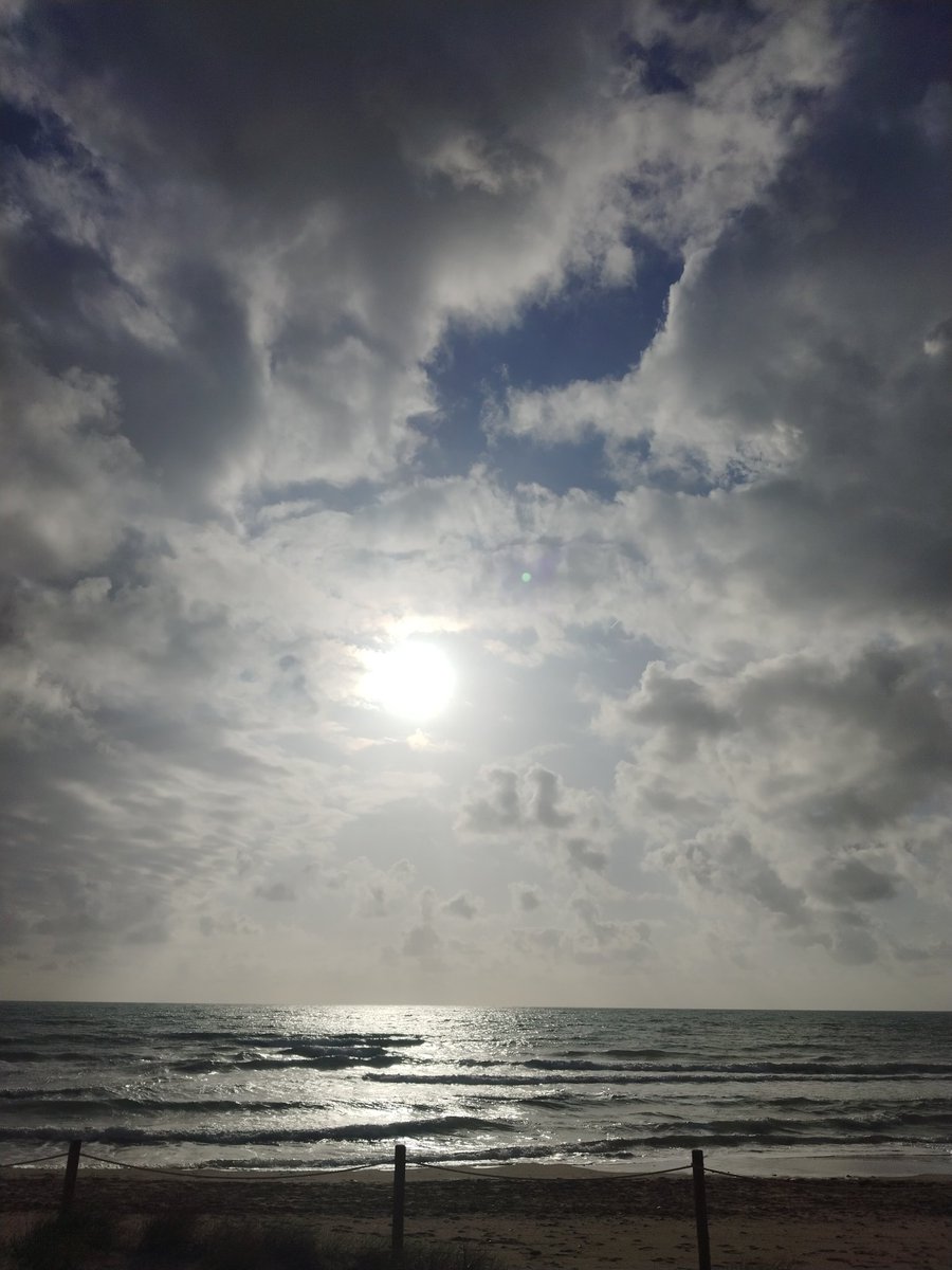 Sinopsis tweet media