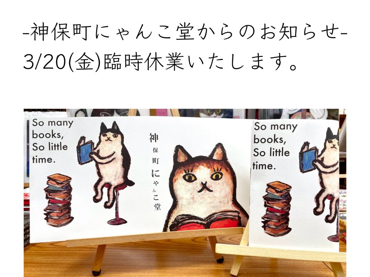 猫本専門 神保町にゃんこ堂_姉川書店 tweet media