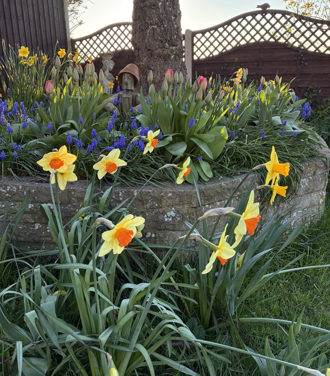 Zara Handley tweet media