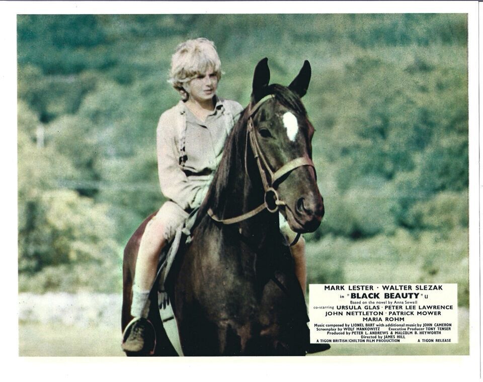 TalkingPicsTV's tweet photo. The classic story of BLACK BEAUTY (1971) 9:45am #MarkLester #WalterSlezak #PeterLeeLawrence https://t.co/Dq0YMq17Lh