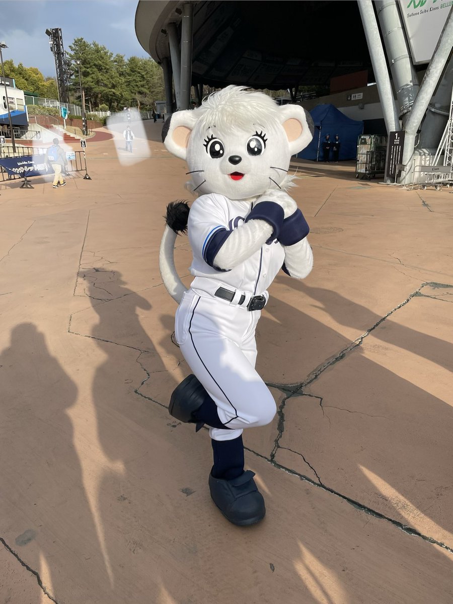 20thmax_nrmla's tweet photo. 公式プロフィールに載ってたポーズをお願いしました。

#ライナ
#ライナかわいい https://t.co/SuRUXrDrrR