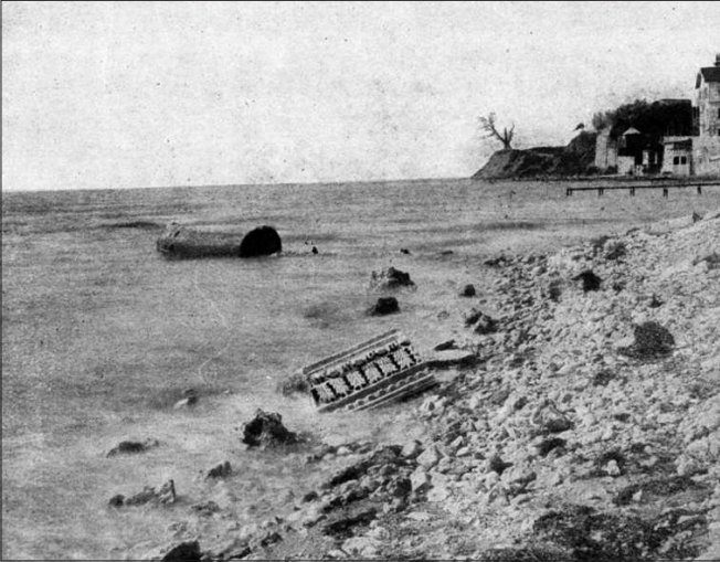 Pınar Erkan tweet media