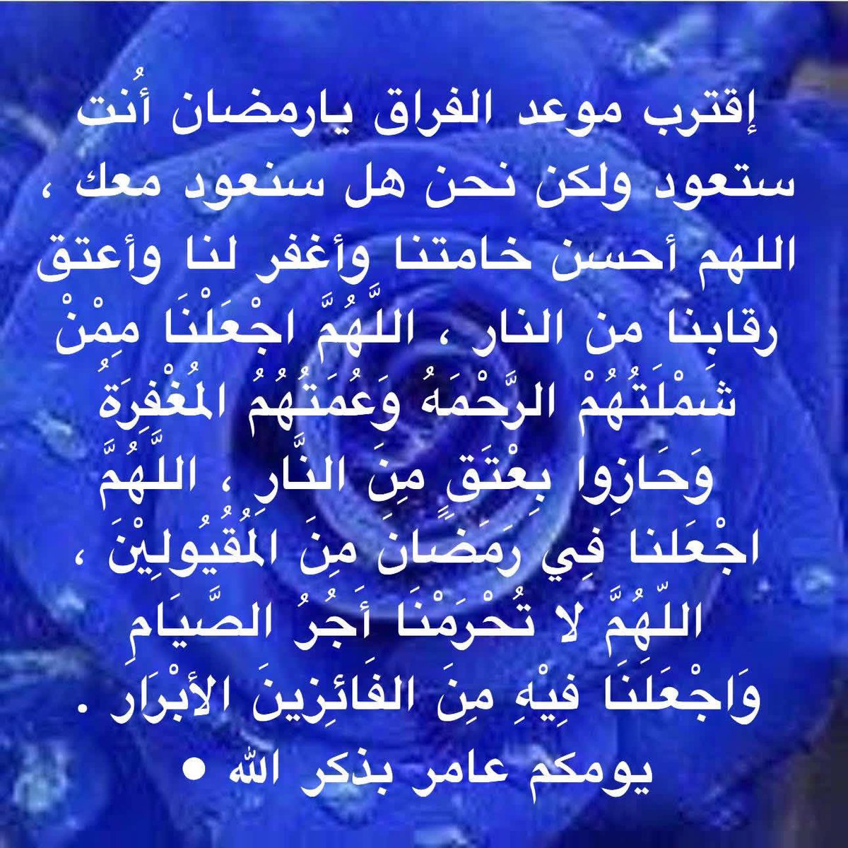 S. T. س ل ا /م ا ت. tweet media