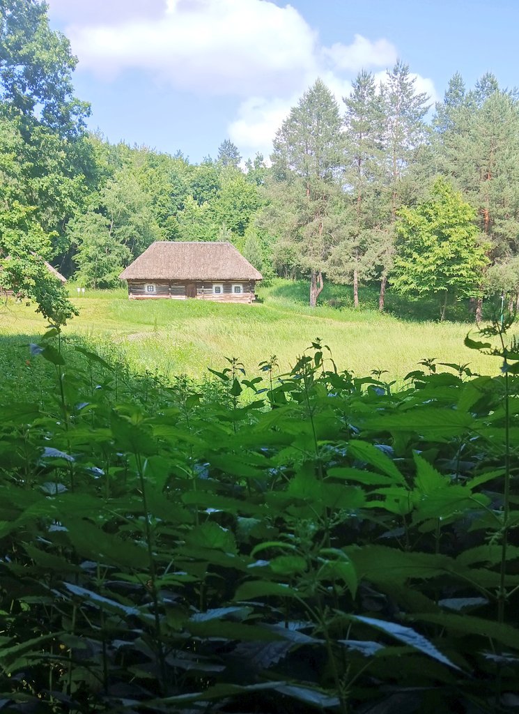 pyrohiv.museum tweet media