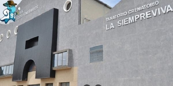 Ana Bustelo Tortella tweet media