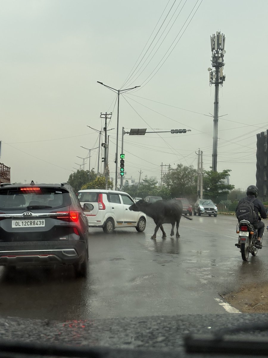 rajat mahajan tweet media