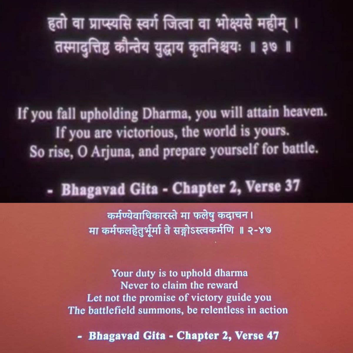 THE NETAJIAN tweet media