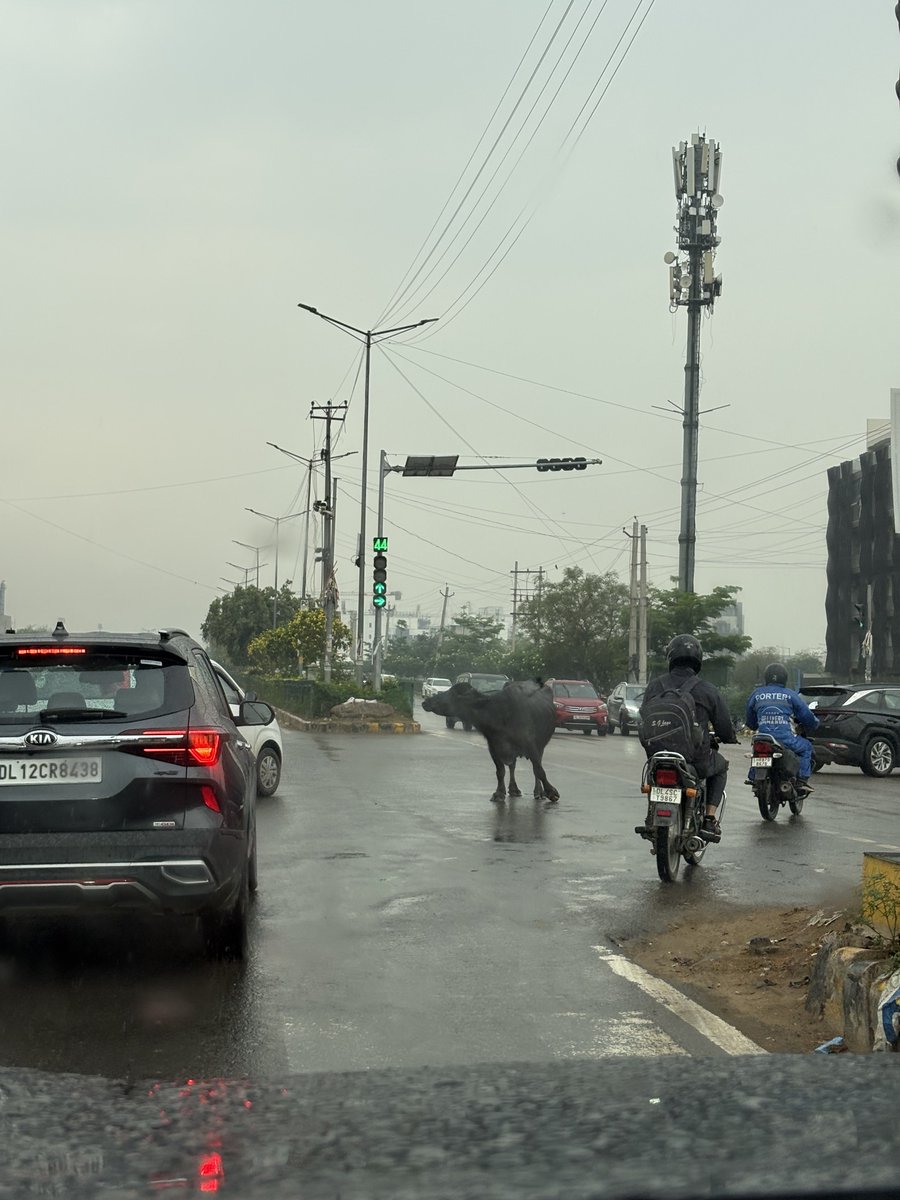 rajat mahajan tweet media