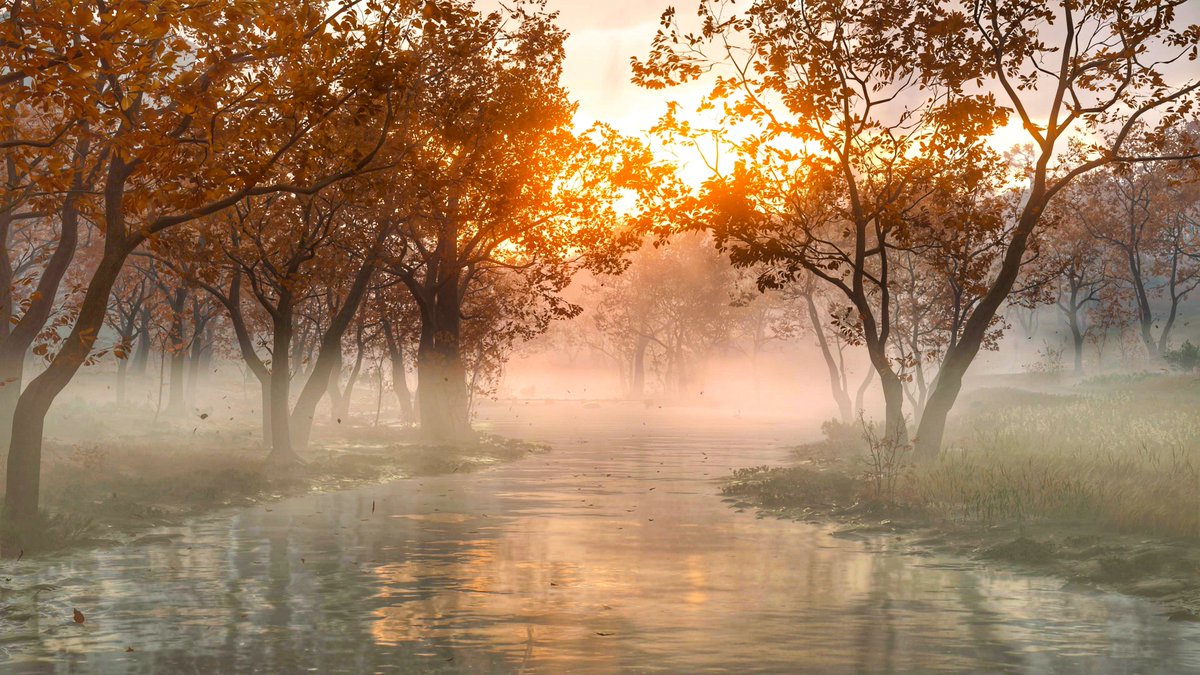 CBVP 📸 Virtual Photography tweet media