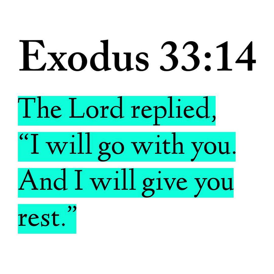 Bible 365 tweet media