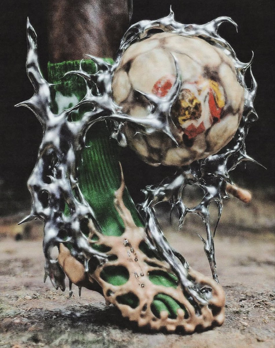 crowned dogs tweet media