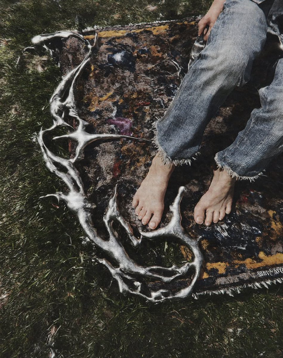 crowned dogs tweet media