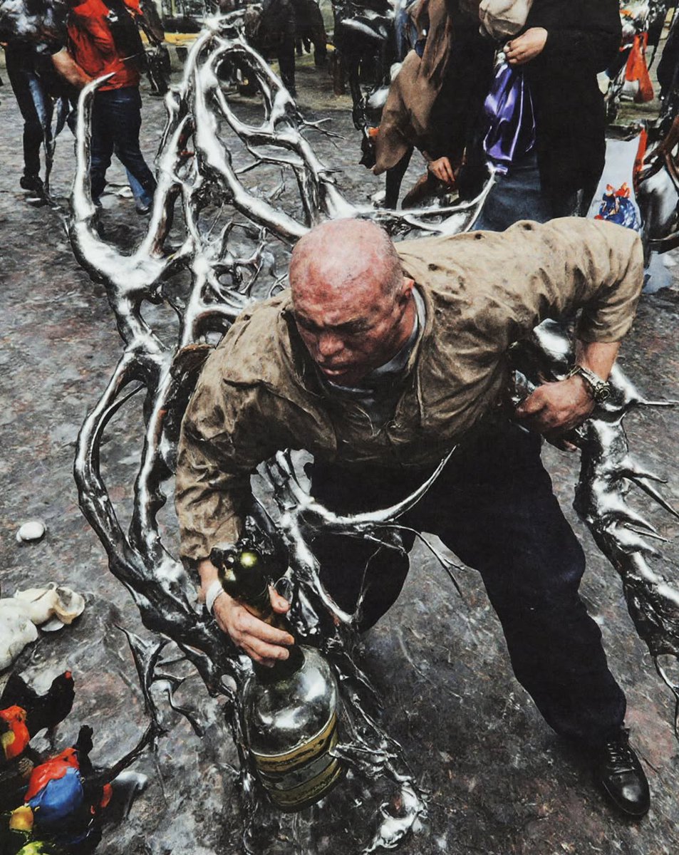 crowned dogs tweet media