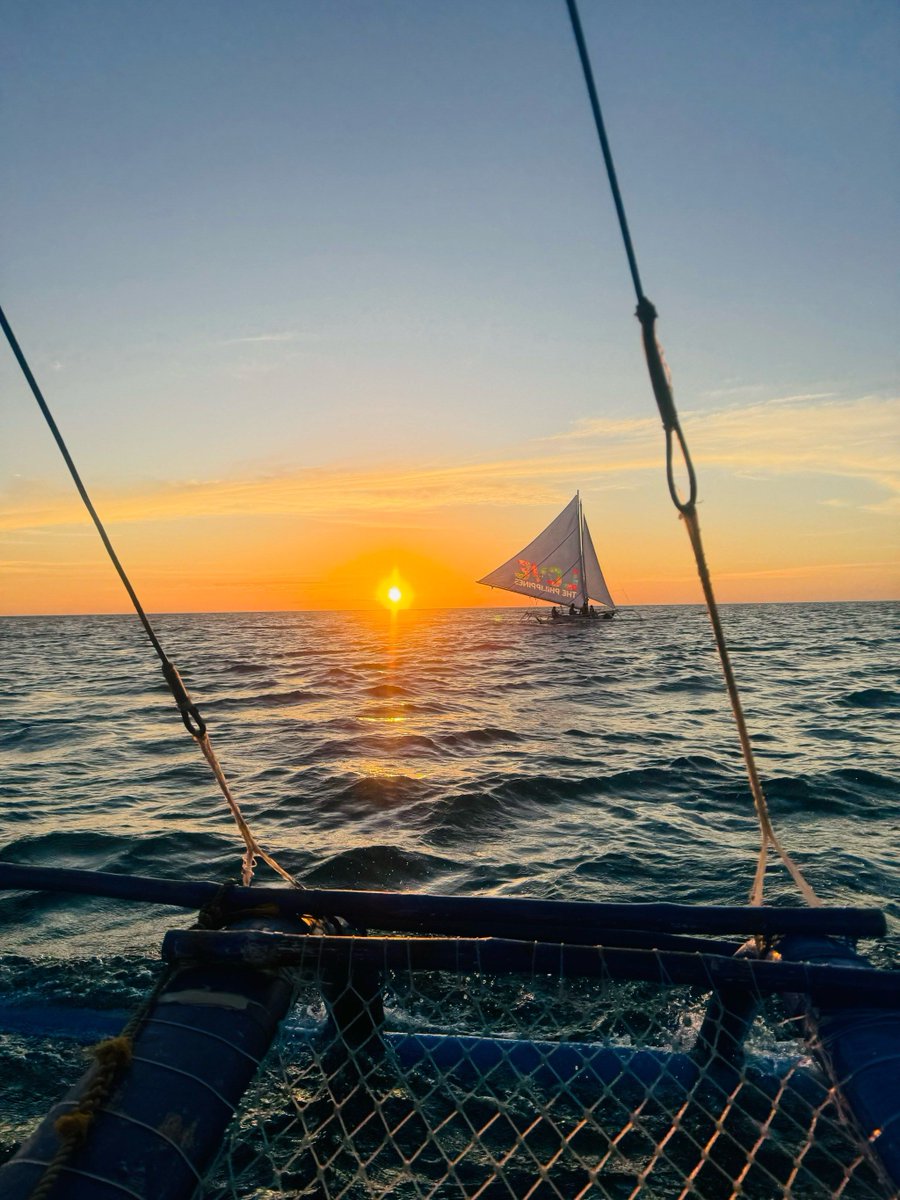 Rodger Potocki tweet media