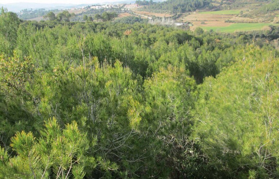 Ajuntament d’Abrera tweet media