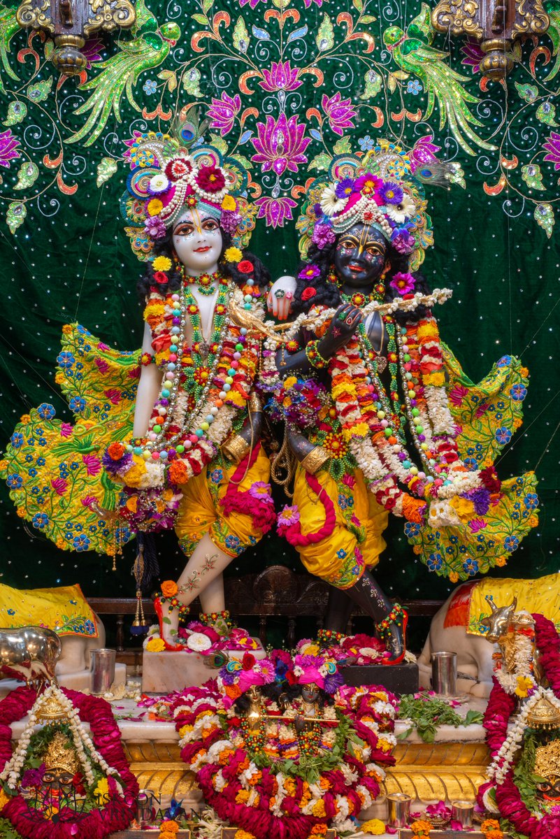 The Holy Monk tweet media