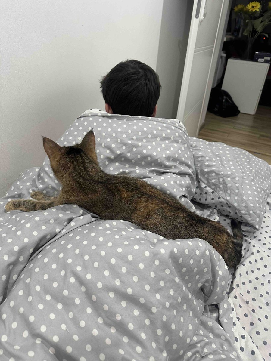 lololooolol.sol tweet media