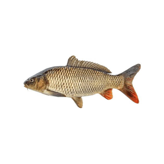 2008 Electronic Mail tweet media